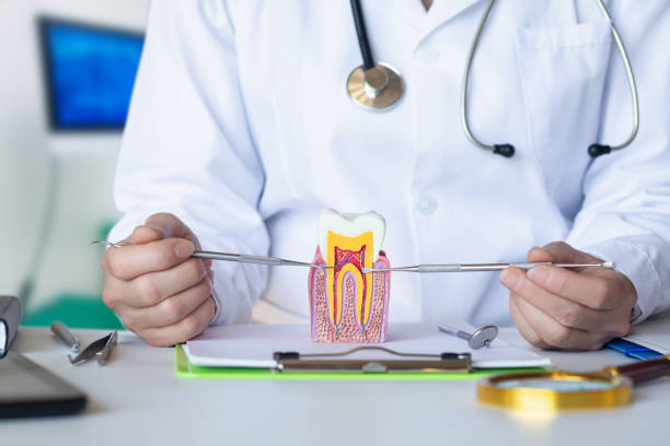 Best Emergency TMJ Treatment in Christopher, IL